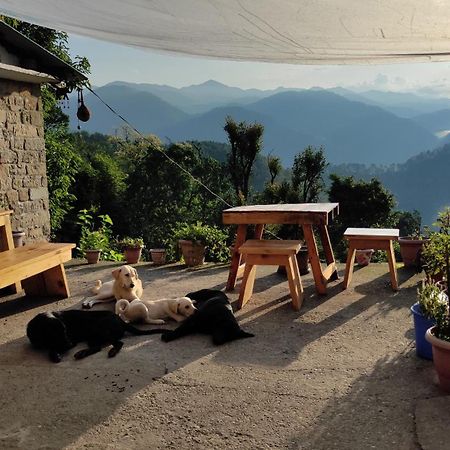Vista Hostel Jeolikote, Nainital Patwa Dunga Pokoj fotografie