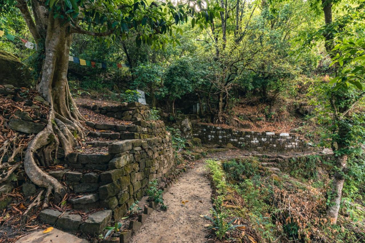 Vista Hostel Jeolikote, Nainital Patwa Dunga Exteriér fotografie