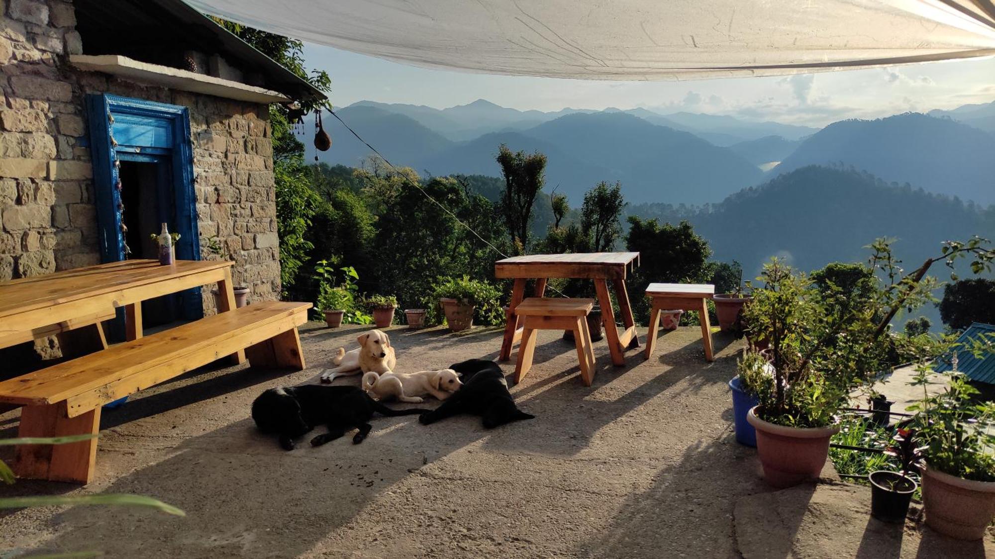 Vista Hostel Jeolikote, Nainital Patwa Dunga Pokoj fotografie