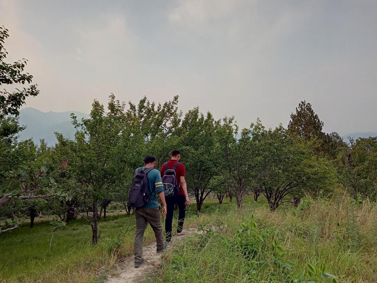 Vista Hostel Jeolikote, Nainital Patwa Dunga Exteriér fotografie