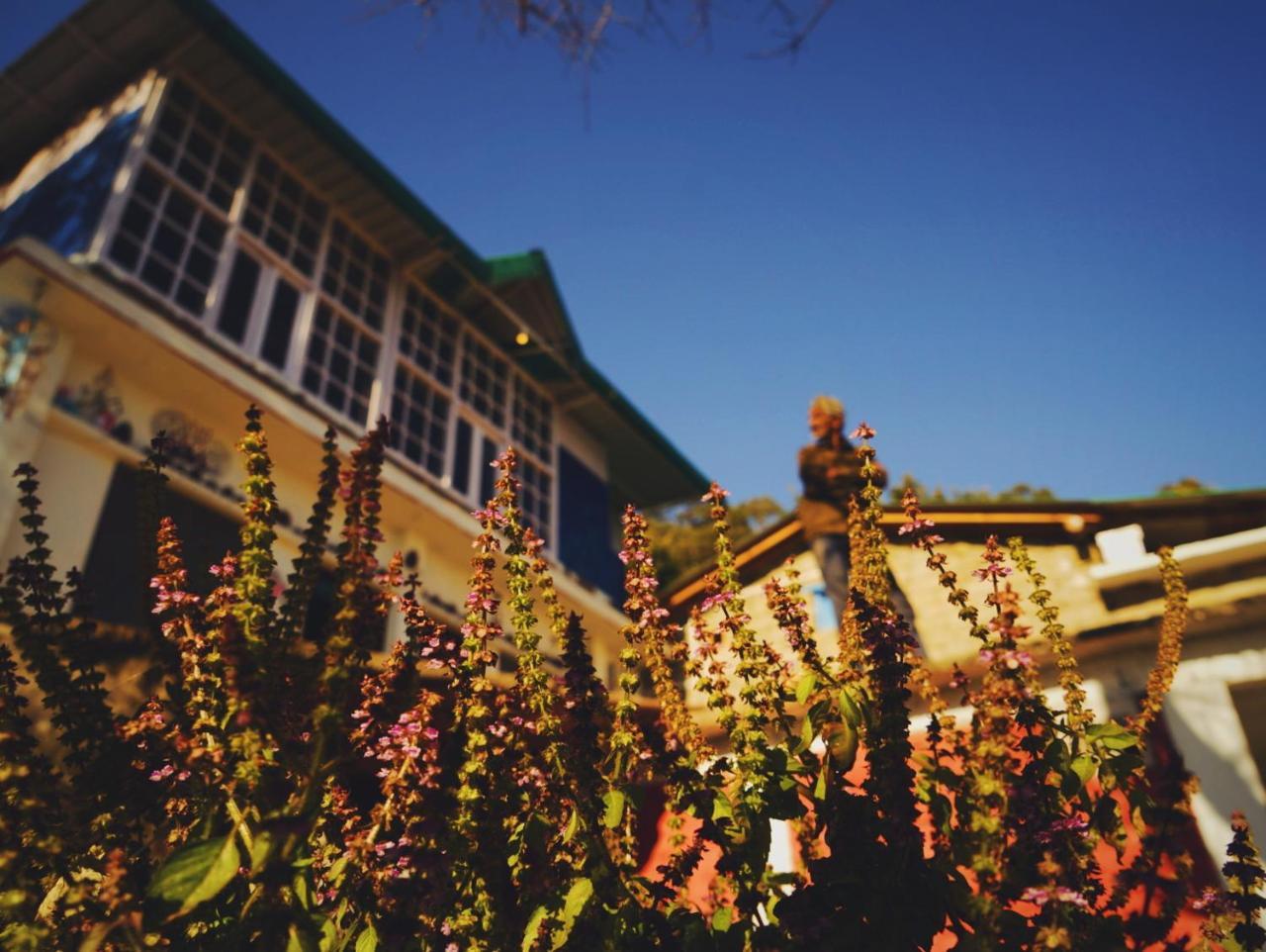 Vista Hostel Jeolikote, Nainital Patwa Dunga Exteriér fotografie