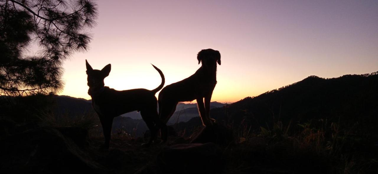 Vista Hostel Jeolikote, Nainital Patwa Dunga Exteriér fotografie